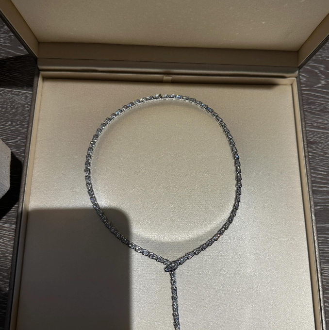 [Ornora Jewelry]NEW！SERPENT DIAMOND NECKLACE
